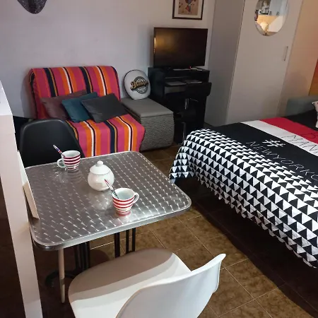 Apartmán Studio, Proche Piscine Patinoire Iut Lycee Golf Calme Excellent Emplacement, Terrasse Park Ferme Castres (Tarn)